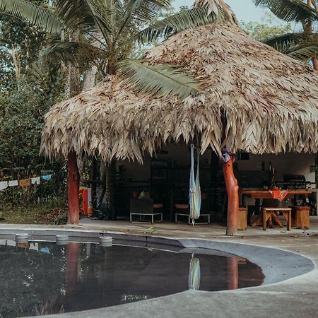Casa De Los Amigos Caribena Cahuita Exterior foto