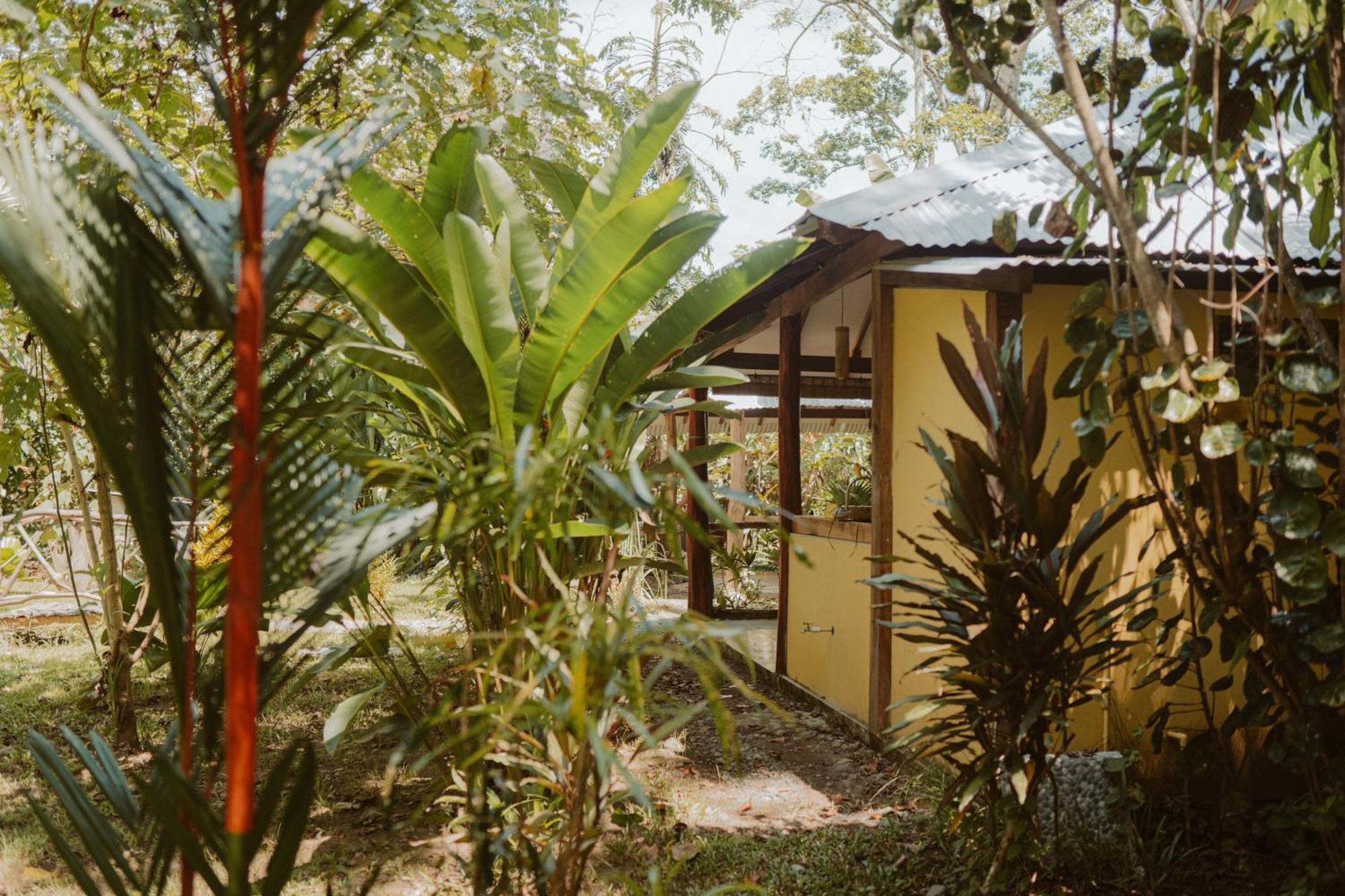 Casa De Los Amigos Caribena Cahuita Exterior foto