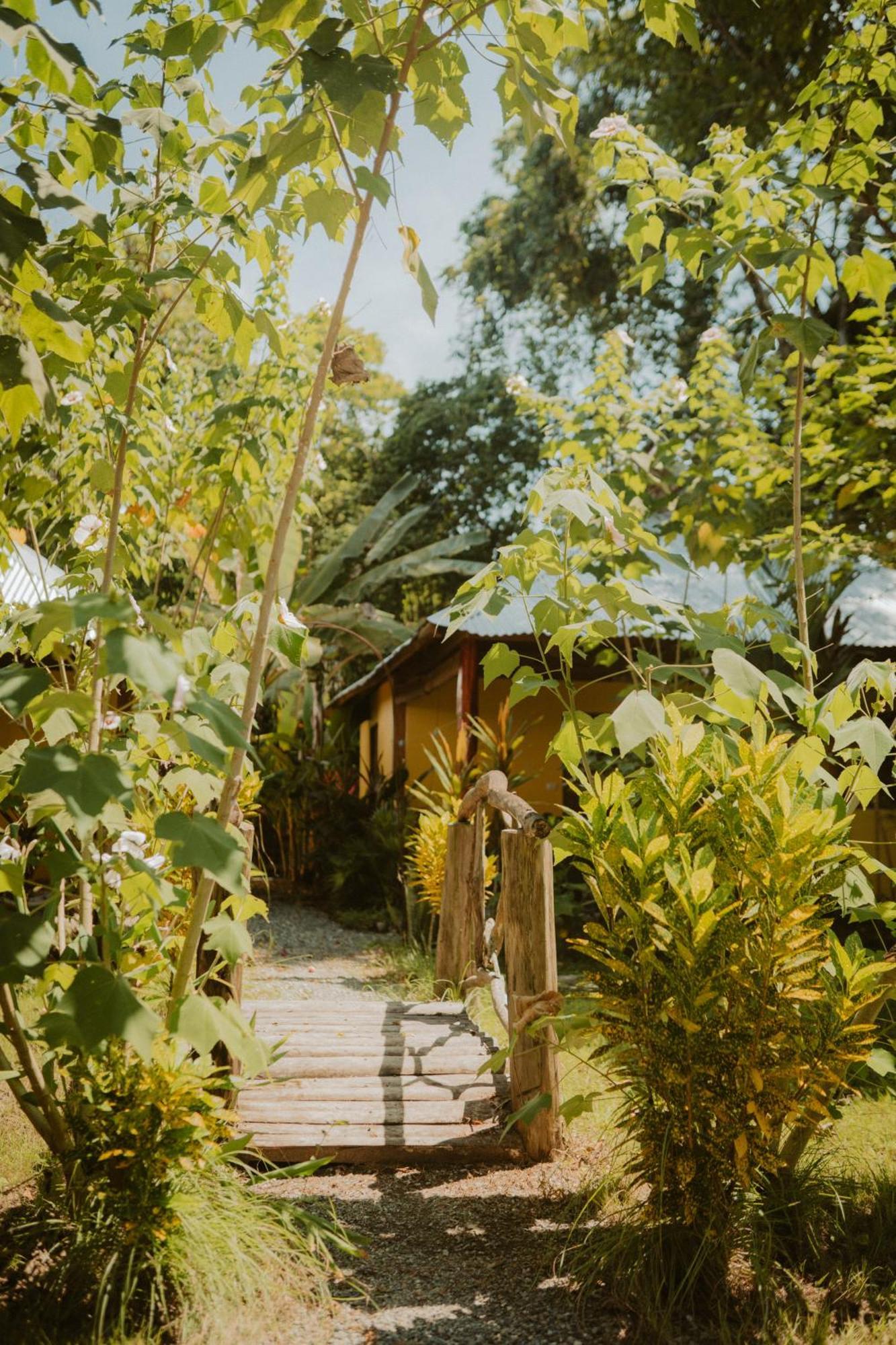 Casa De Los Amigos Caribena Cahuita Exterior foto